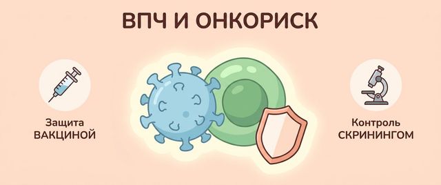 ВПЧ: онкориск, кондиломы, рак шейки матки и прививка