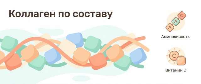 Коллаген по составу: тип, морской или говяжий, граммы в порции